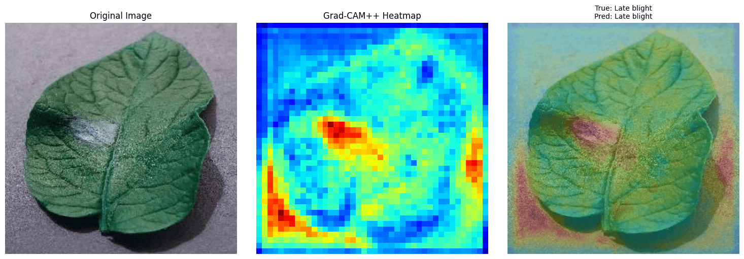 Diagnóstico de Requeima com mapa de calor Grad-CAM++