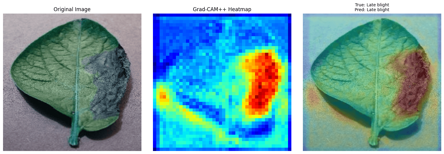 Diagnóstico de Requeima com mapa de calor Grad-CAM++