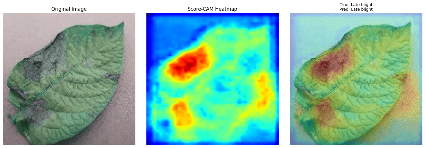 Diagnóstico de Requeima com mapa de calor Score-CAM