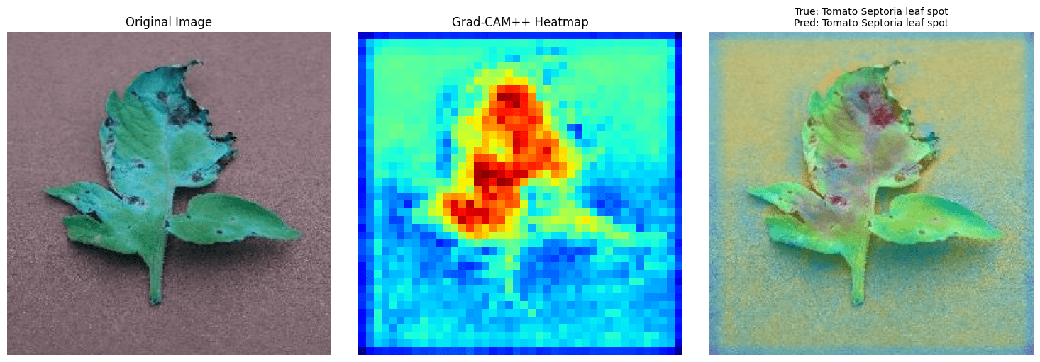Diagnóstico de Septoriose com mapa de calor Grad-CAM++
